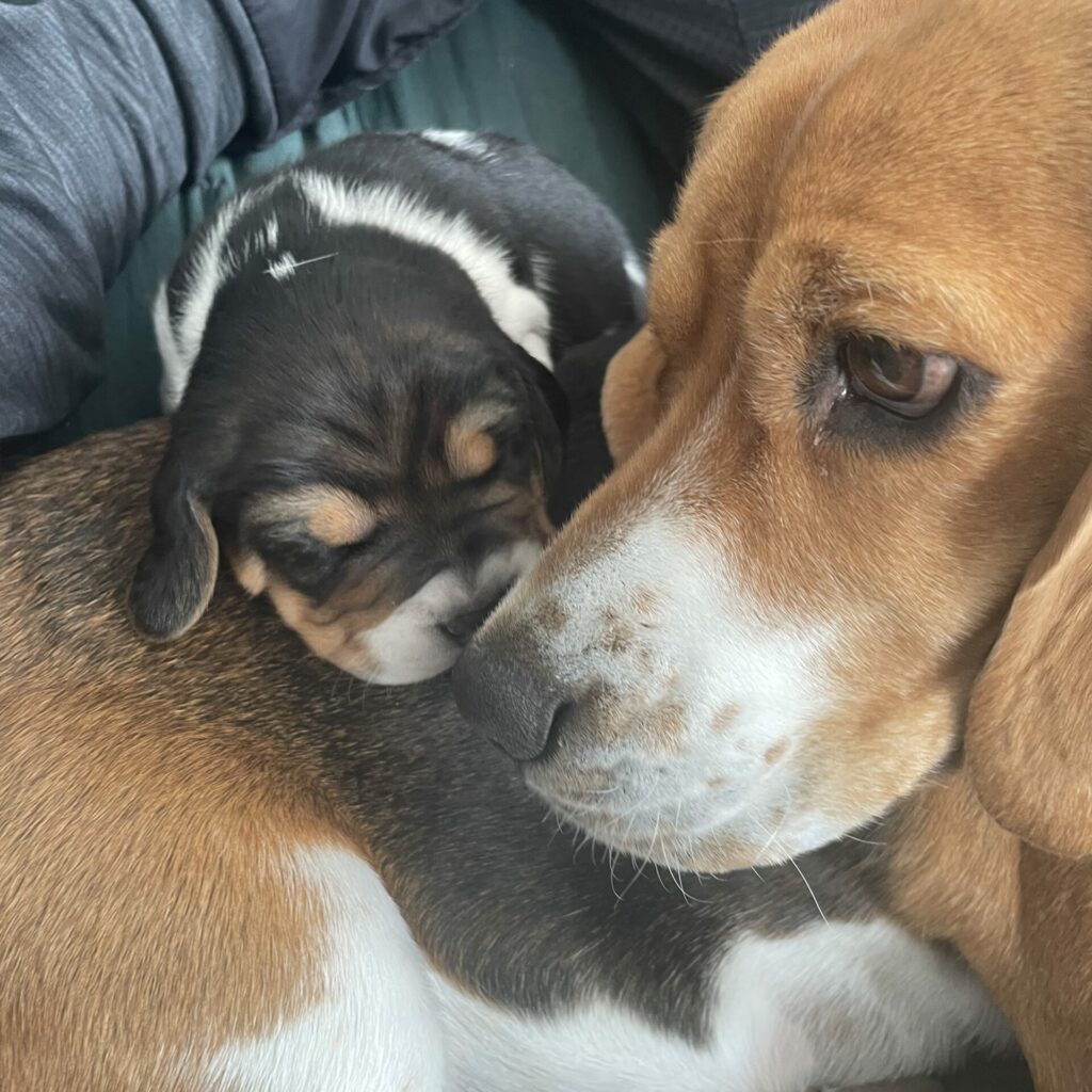 photo craquante d'une maman et son bébé